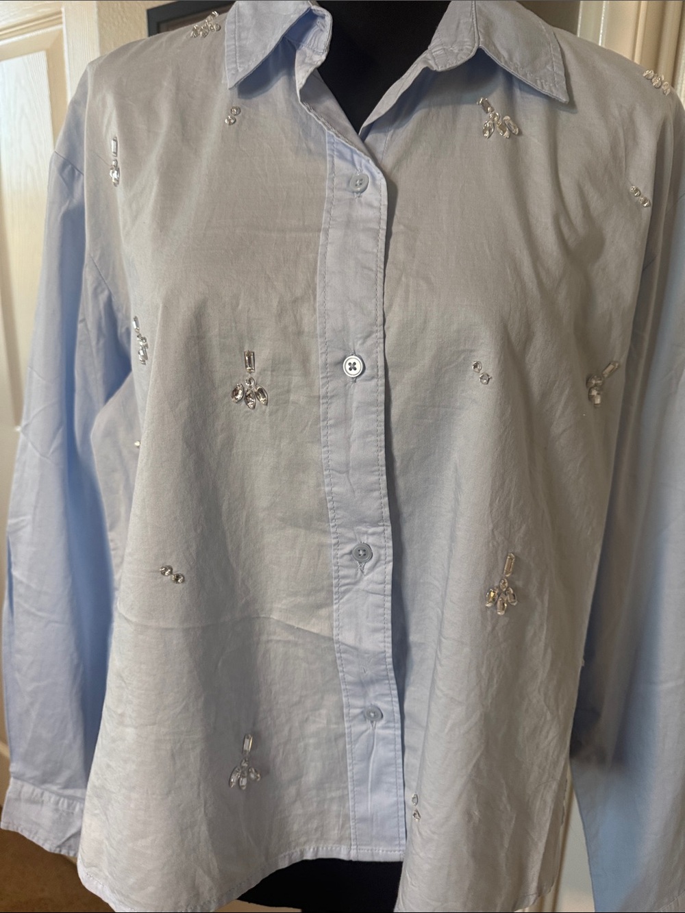 Old Navy Pale Blue Embroidered Button-Down Shirt - Picture 5 of 6
